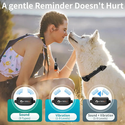 No Shock Dog Training Collar,1000M Waterproof Vibrating Dog Collar,Rechargeable Electronic Collar for All Size Dog Bark Collar