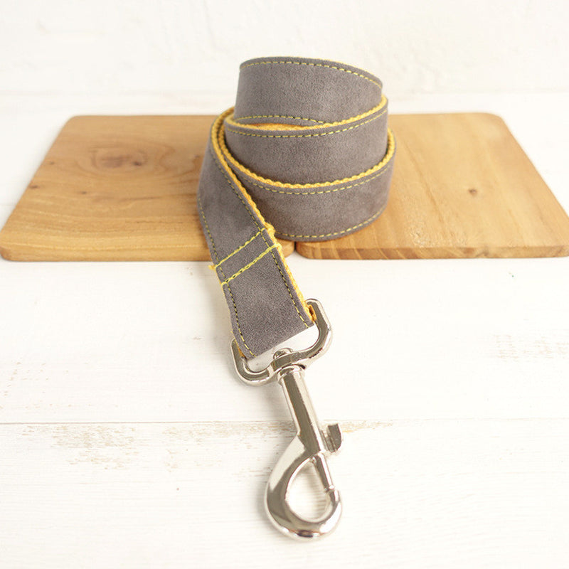 Dog Leash Grey Leash