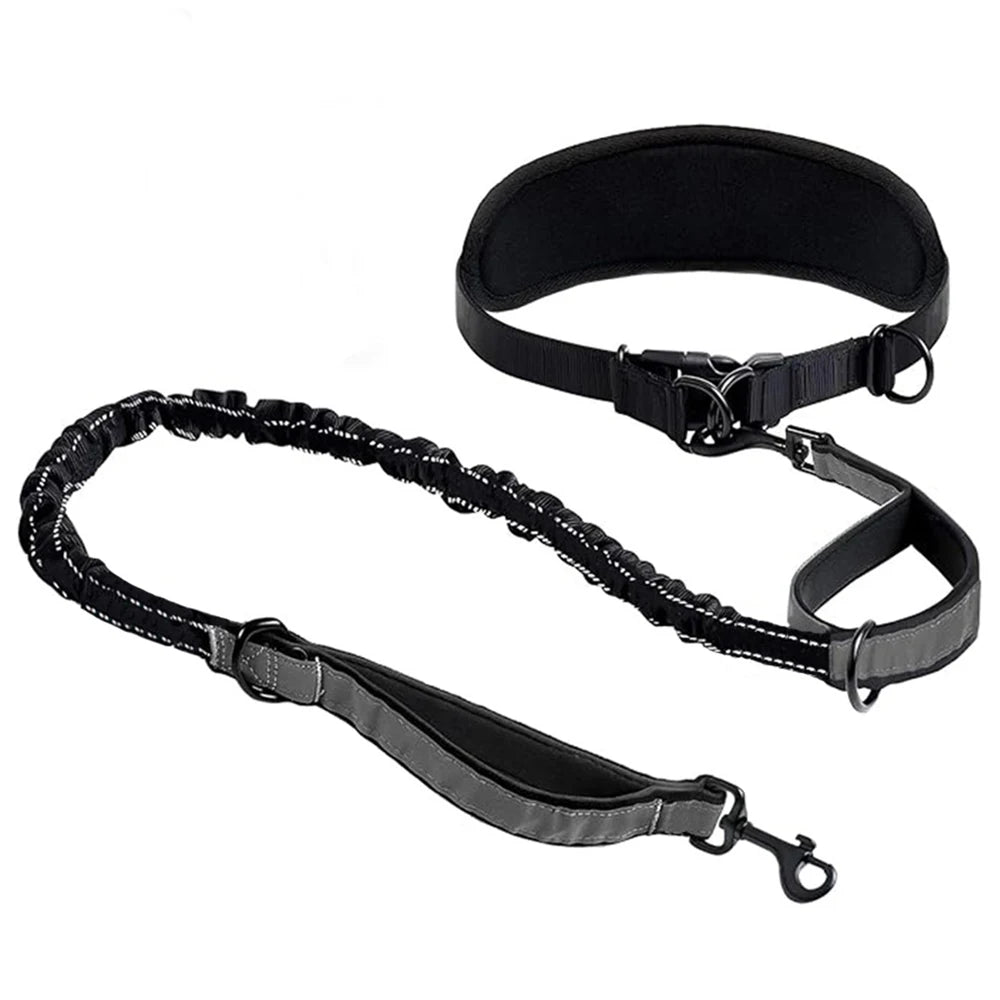 Hands Free Dog Leash Dog Waist Leash with Lumbar Support Belt Multifunctional Extendable Dog Leash Reflective Bungee Leash Black