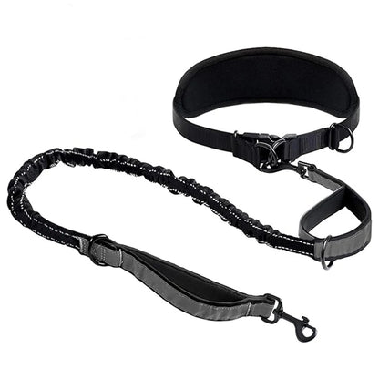 Hands Free Dog Leash Dog Waist Leash with Lumbar Support Belt Multifunctional Extendable Dog Leash Reflective Bungee Leash Black