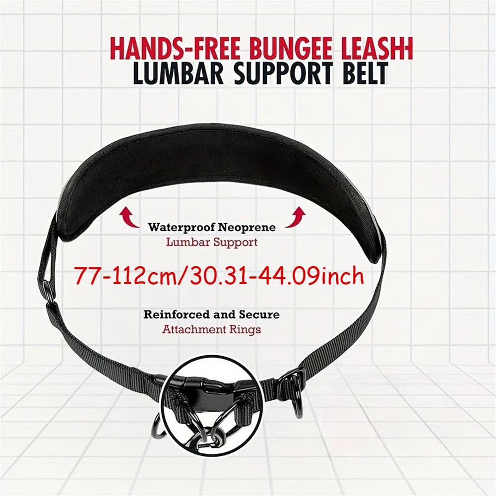 Hands Free Dog Leash Dog Waist Leash with Lumbar Support Belt Multifunctional Extendable Dog Leash Reflective Bungee Leash Black
