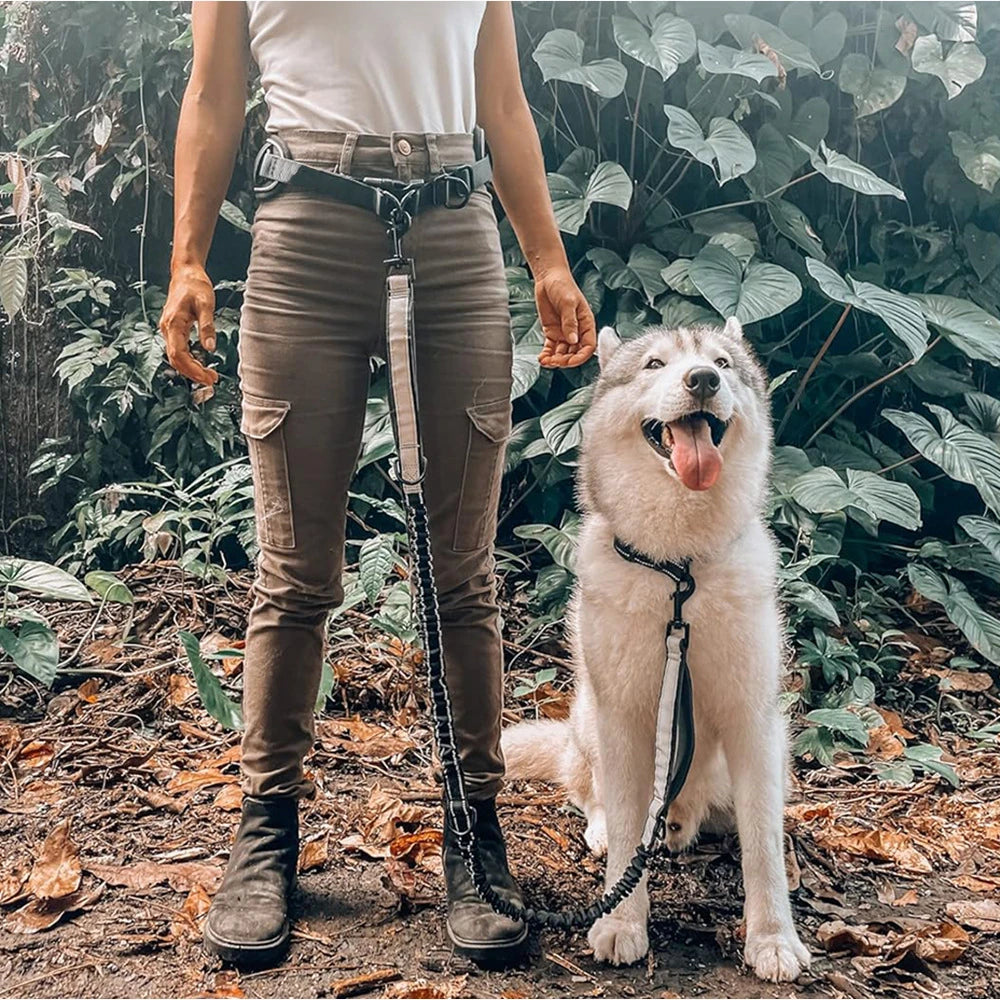 Hands Free Dog Leash Dog Waist Leash with Lumbar Support Belt Multifunctional Extendable Dog Leash Reflective Bungee Leash Black
