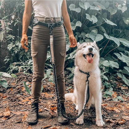 Hands Free Dog Leash Dog Waist Leash with Lumbar Support Belt Multifunctional Extendable Dog Leash Reflective Bungee Leash Black