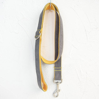 Dog Leash Grey Leash