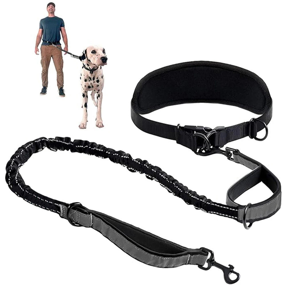 Hands Free Dog Leash Dog Waist Leash with Lumbar Support Belt Multifunctional Extendable Dog Leash Reflective Bungee Leash Black