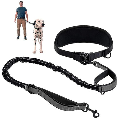 Hands Free Dog Leash Dog Waist Leash with Lumbar Support Belt Multifunctional Extendable Dog Leash Reflective Bungee Leash Black